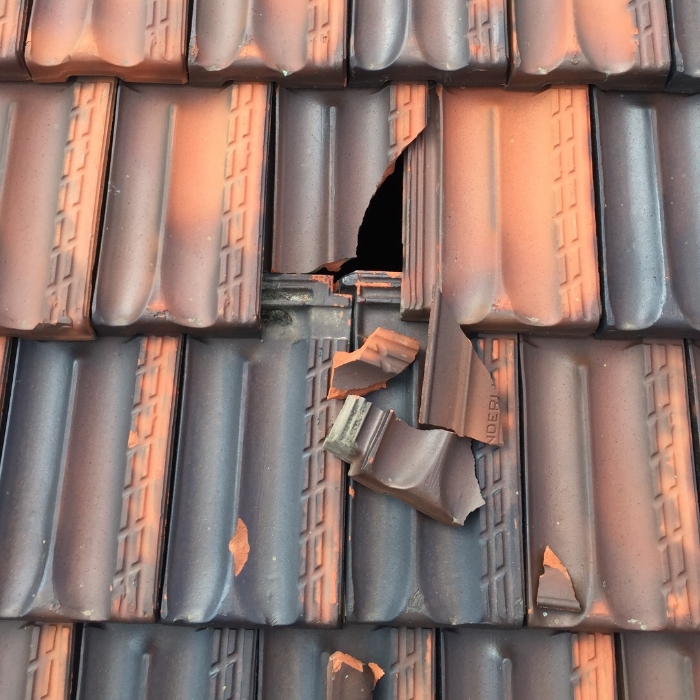 roof restoration, roof replacements, metal roofing, gutters & downpipes, skylight installations, asbestos removal